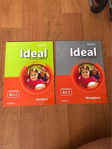 Ideal A1.1 kitap