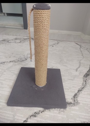  Beden Gri Kedi Taşıma Kabı ve Aksesuar Seti