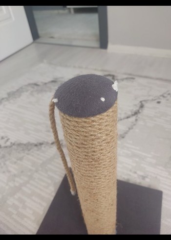  Beden Renk Gri Kedi Taşıma Kabı ve Aksesuar Seti