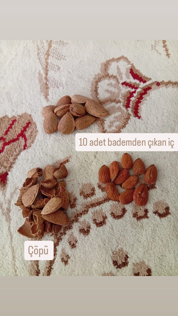 KABUKLU BADEM - Görsel 2