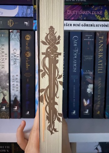 Akarnæ Medora Günlükleri 1 - Lynette Noni - Görsel 3