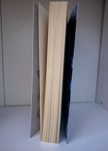 Son Ejderha Kralı - Leia Stone - Görsel 3