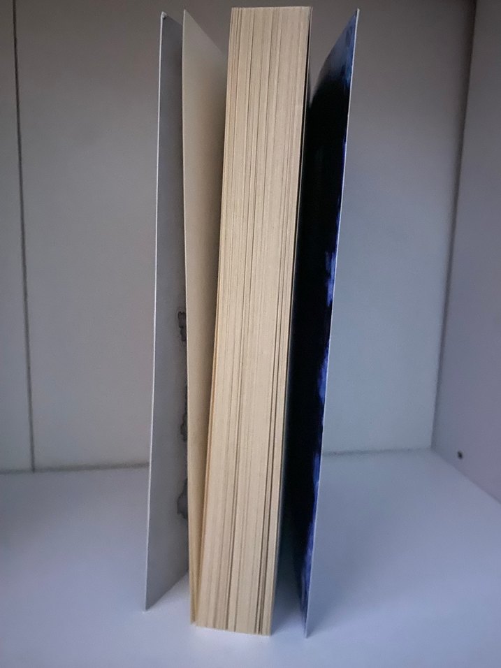 Son Ejderha Kralı - Leia Stone - Görsel 3