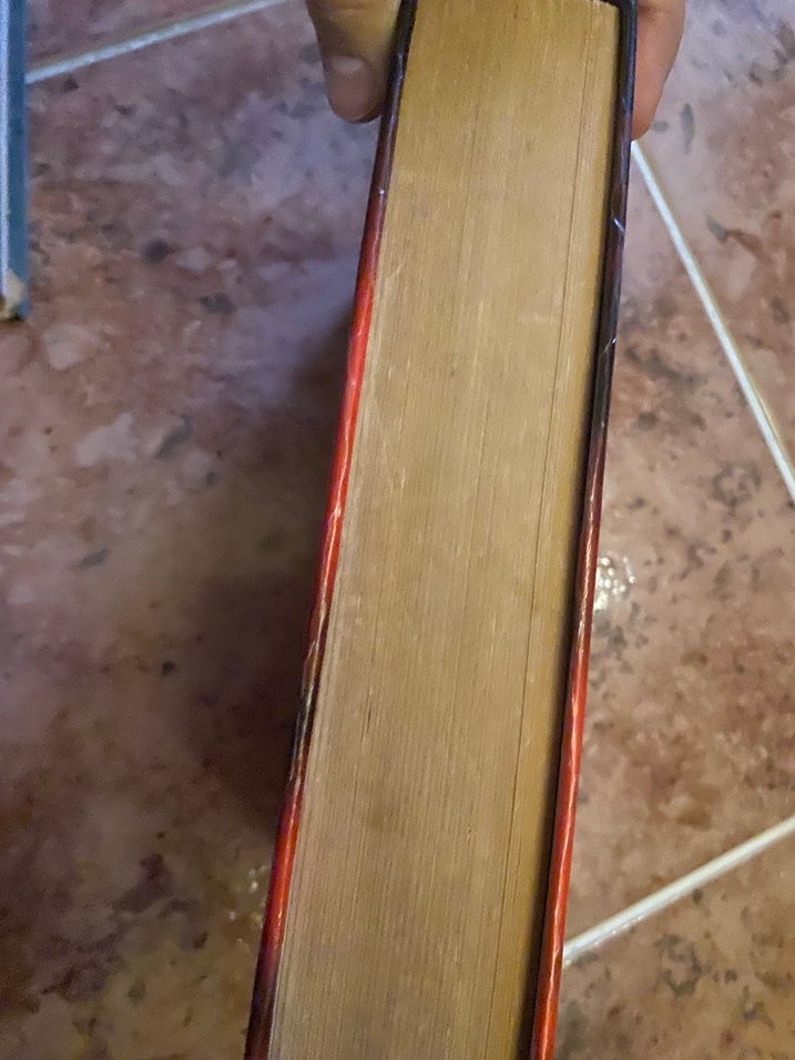 Rüzgar Gibi Geçti - Margaret Mitchell - Görsel 4