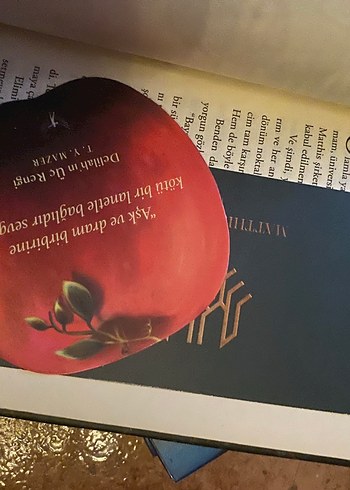 Delilah'ın Üç Rengi - T.Y. Mazer - Görsel 4