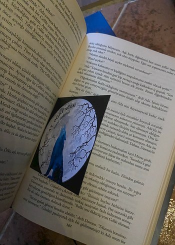 Av Dönencesi - Büşra Toraman - Görsel 3