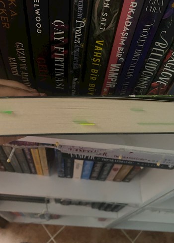 Bu Nasıl Bir His? - Jeneane O'Riley - Görsel 4