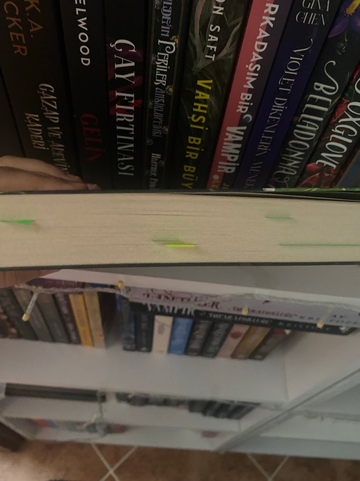 Bu Nasıl Bir His? - Jeneane O'Riley - Görsel 4