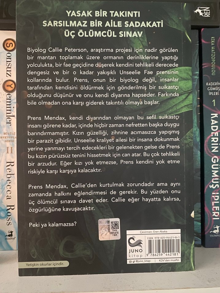 Bu Nasıl Bir His? - Jeneane O'Riley - Görsel 2