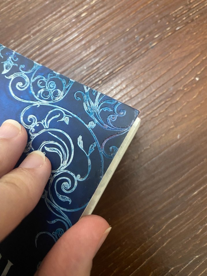 Cadı Toplayıcısı - Charissa Weaks - Görsel 3