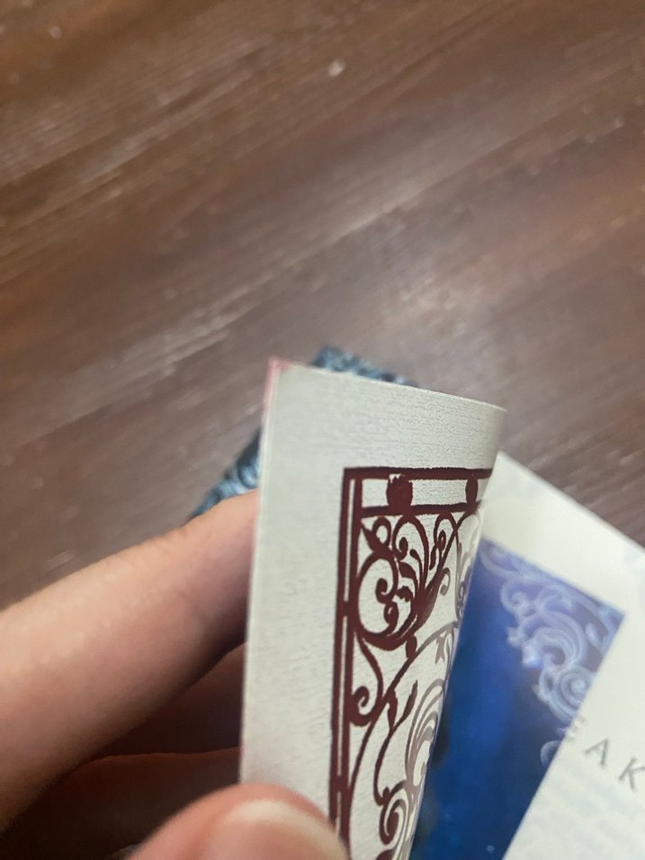 Cadı Toplayıcısı - Charissa Weaks - Görsel 4