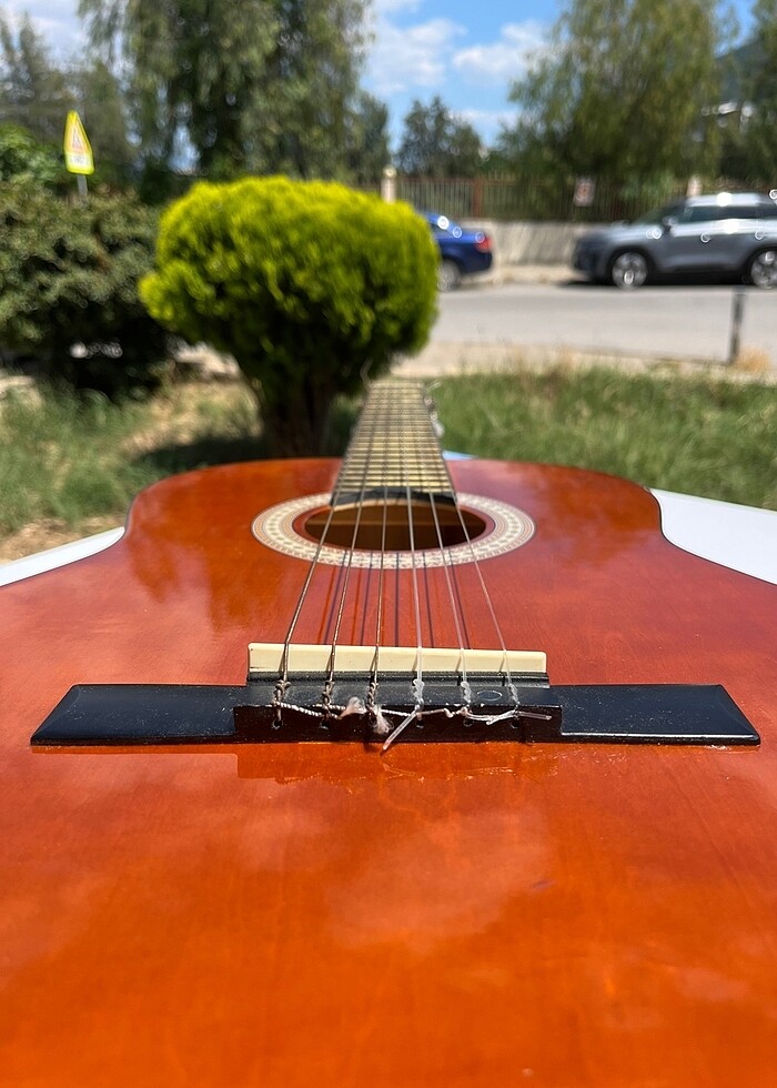 Bolero C10 R Gitar - Görsel 2