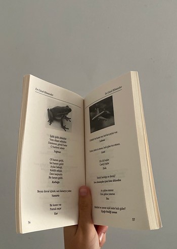 En Güzel Bilmeceler Kitabı - Görsel 4