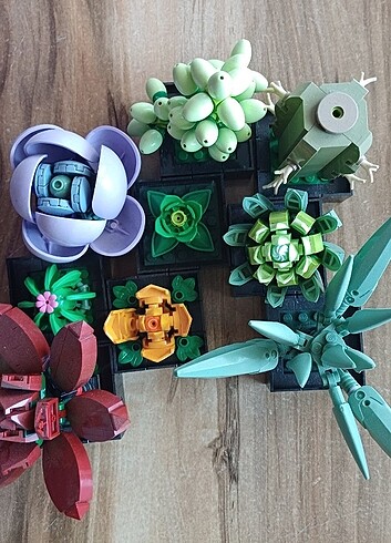 LEGO Sukulent 