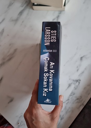 Arı Kovanına Çomak Sokan Kız - Stieg Larsson