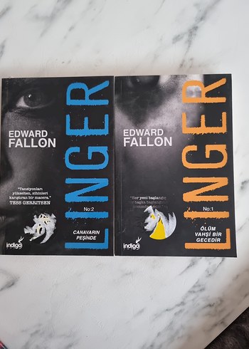 Edward Fallon - Ginger Serisi 2 Kitap