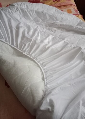 Bambi fitted alez - Görsel 2