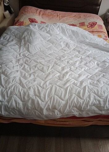 Bambi fitted alez - Görsel 3