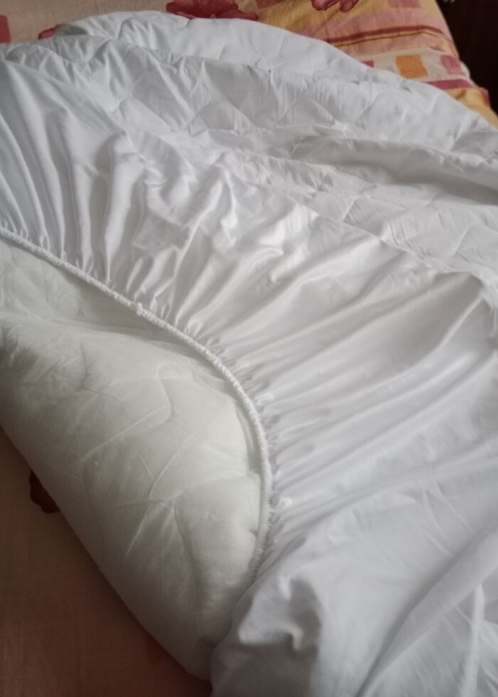 Bambi fitted alez - Görsel 2