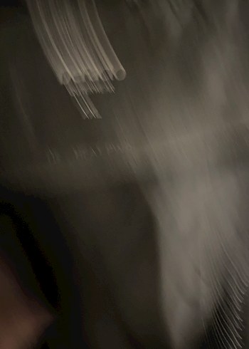 Kadın Siyah Uzun Mont - Görsel 4