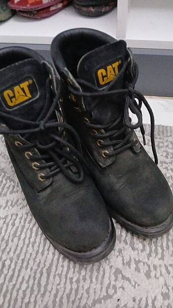 Cat orijinal cat bot