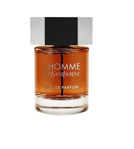 YSL erkek parfümü