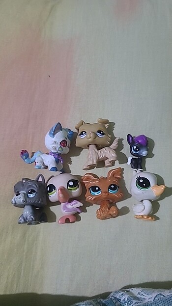 Miniş LPS