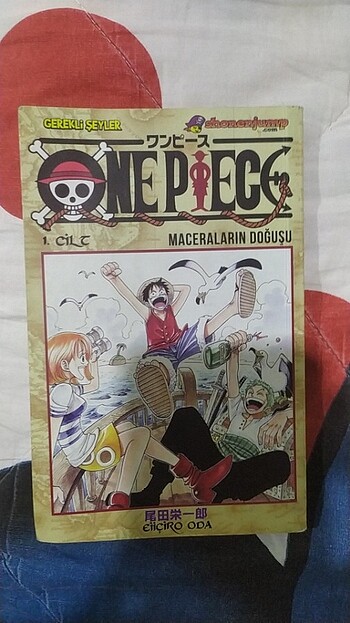 One piece manga