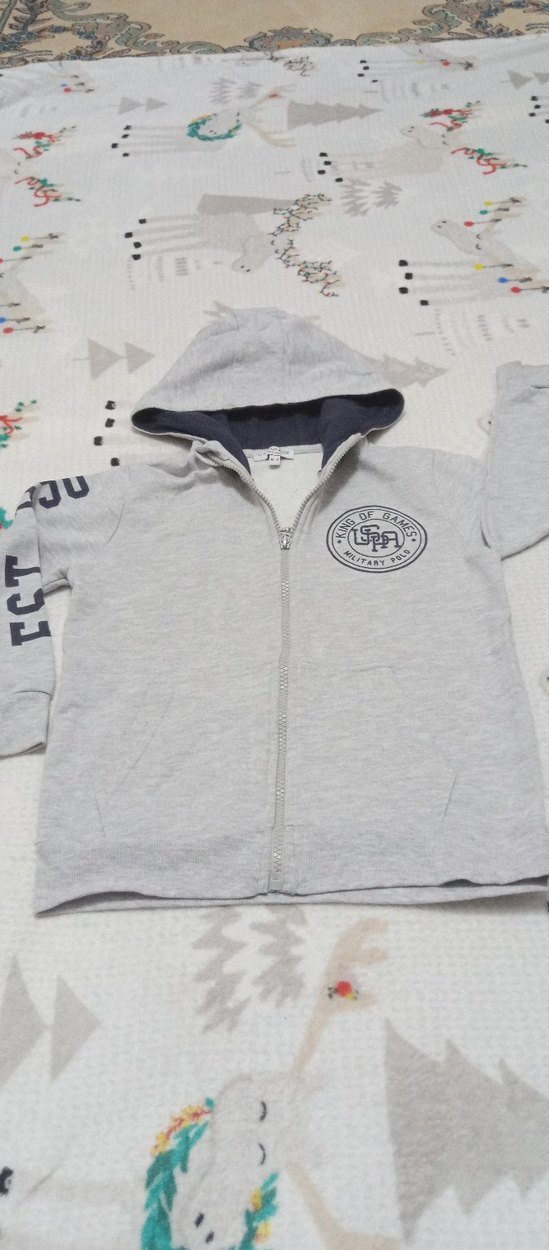 Gri Kapüşonlu Erkek Çocuk Sweatshirt - Görsel 2