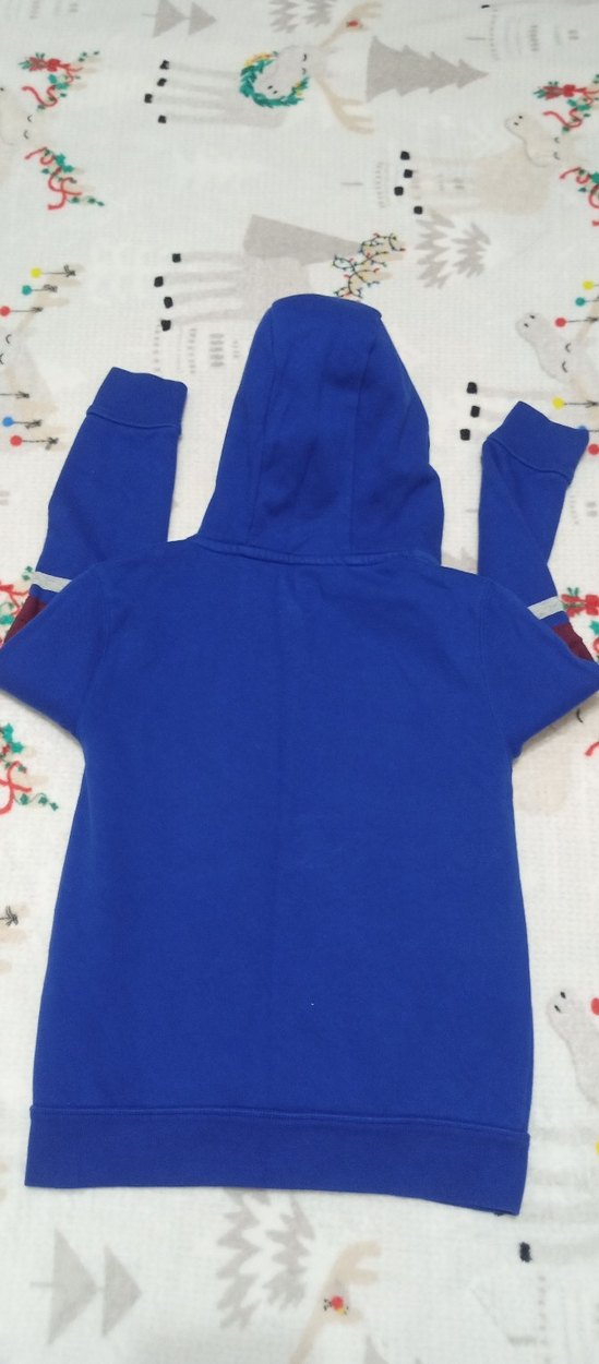 Kapüşonlu Mavi GAP Erkek Sweatshirt - Görsel 4