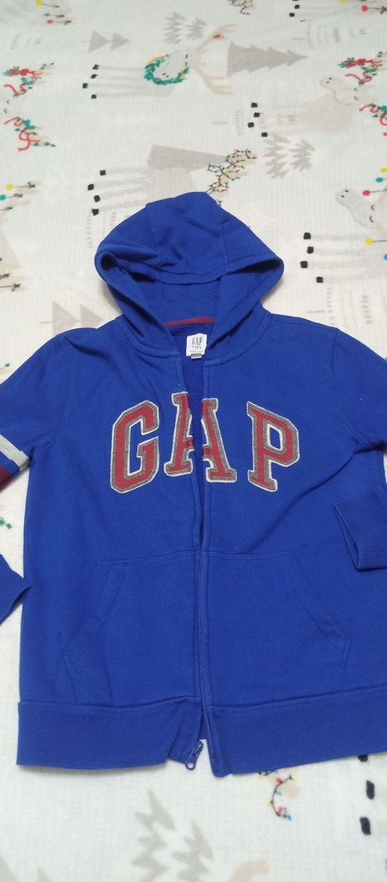Kapüşonlu Mavi GAP Erkek Sweatshirt - Görsel 2