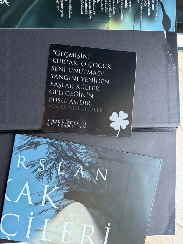 Sokak Nöbetçileri 1-2 ciltli Aslı Arslan - Görsel 4