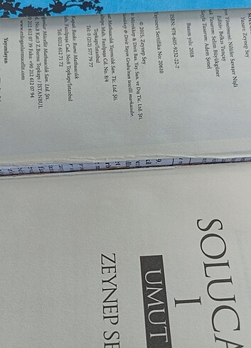 Beden Renk Solucan serisi