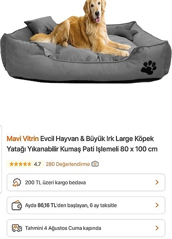 Evcil Hayvan & Büyük Irk Large Köpek Yatağı 100X80 Cm... gri re