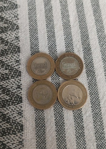 Kahverengi Gri Erkek Rozet Seti - Görsel 2