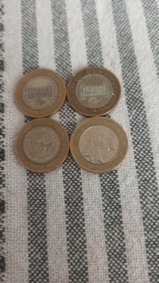 Kahverengi Gri Erkek Rozet Seti - Görsel 4