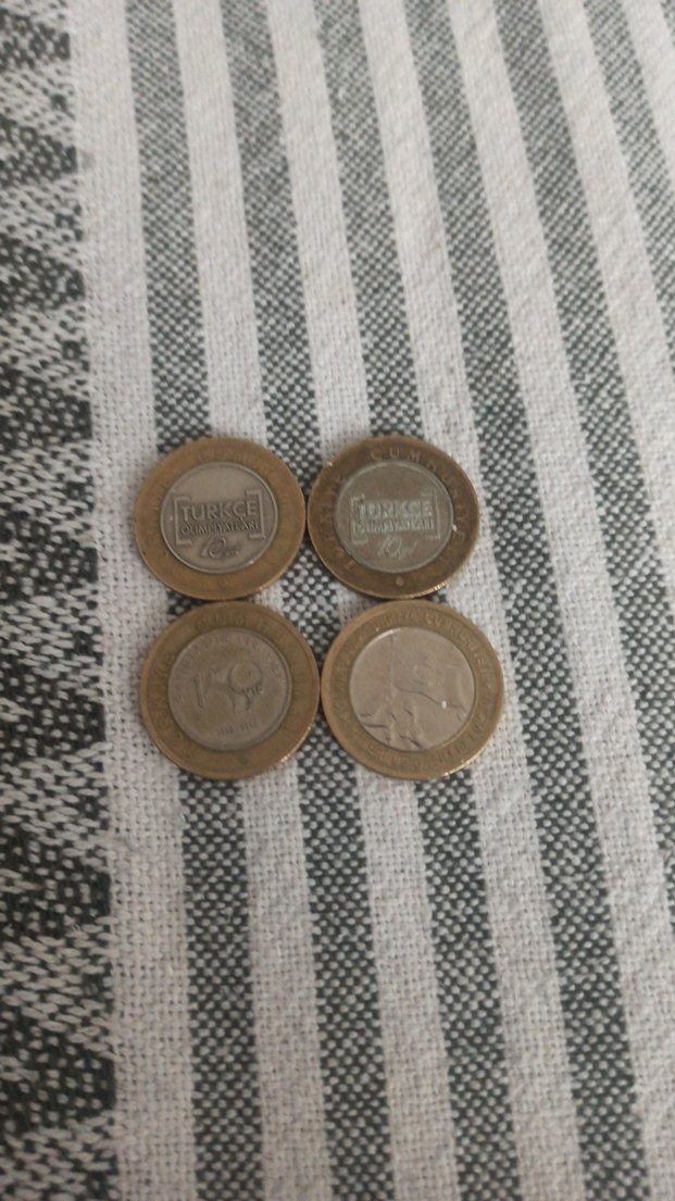 Kahverengi Gri Erkek Rozet Seti - Görsel 3