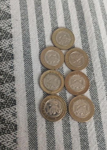 Minimalist Altın Renkli Erkek Rozet - Görsel 6