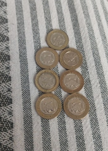 Minimalist Altın Renkli Erkek Rozet - Görsel 7