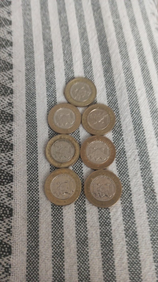 Minimalist Altın Renkli Erkek Rozet - Görsel 5