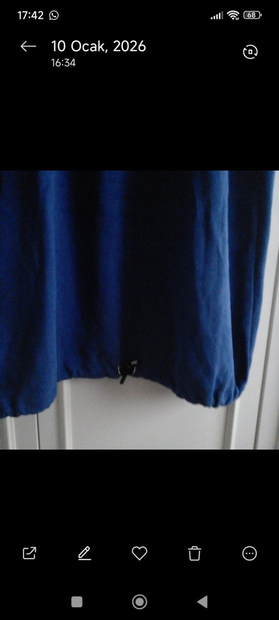 Kadın Mavi Uzun Kollu Salaş Elbise - Görsel 3