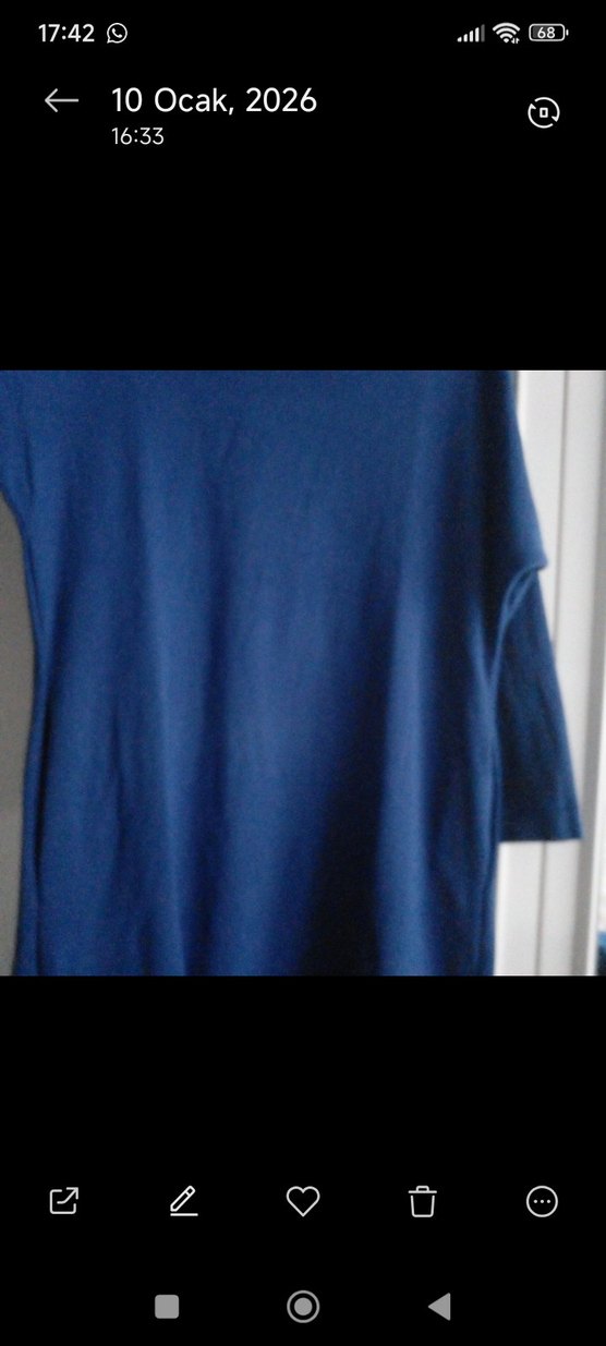 Kadın Mavi Uzun Kollu Salaş Elbise - Görsel 4