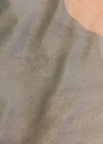 Erkek Bebek Gri Kısa Kollu Dinozor Desenli Mayo - Görsel 2