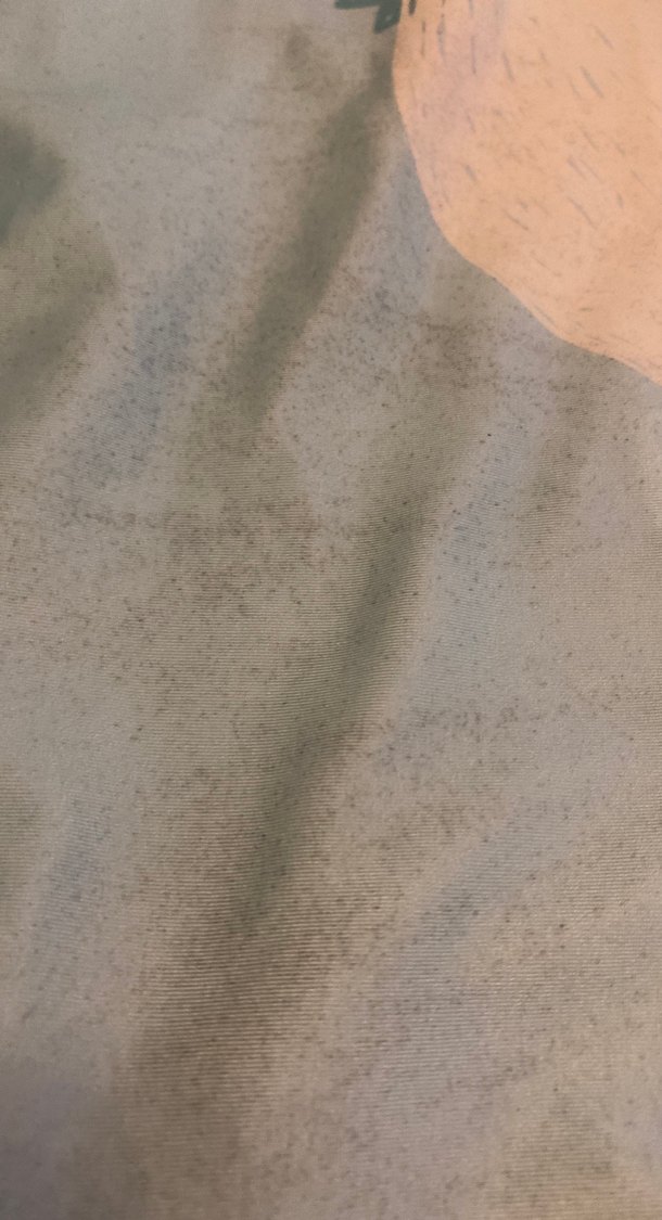 Erkek Bebek Gri Kısa Kollu Dinozor Desenli Mayo - Görsel 2