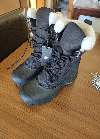 Sorel Sorel Bot