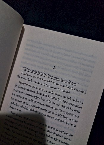  SiDELYA YüZEN ADA Romanı
