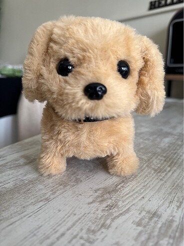 Sevimli Zıp zıp köpek oyuncak