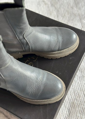 5in1Canpolat Marka Bot - Görsel 2