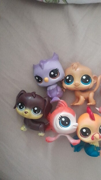 Lps minisler