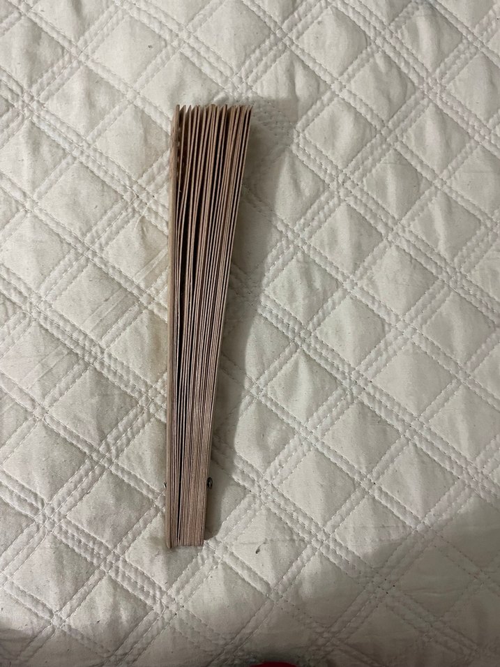 Bej Ahşap El Yelpazesi - Görsel 4